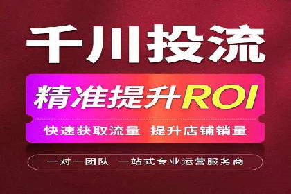 百度推广运营实战：中小企业如何突围